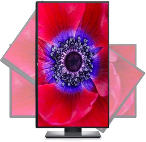 Dell UltraSharp U2520D - IPS LED-monitor - 25" - 2560 x 1440 QHD-59329